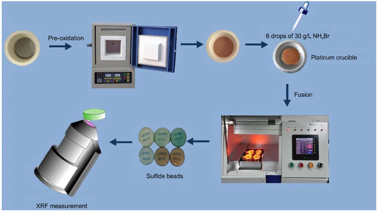 fusion bead sample prepare procedure.png